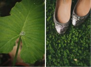 fotografije vjencanja prsteni